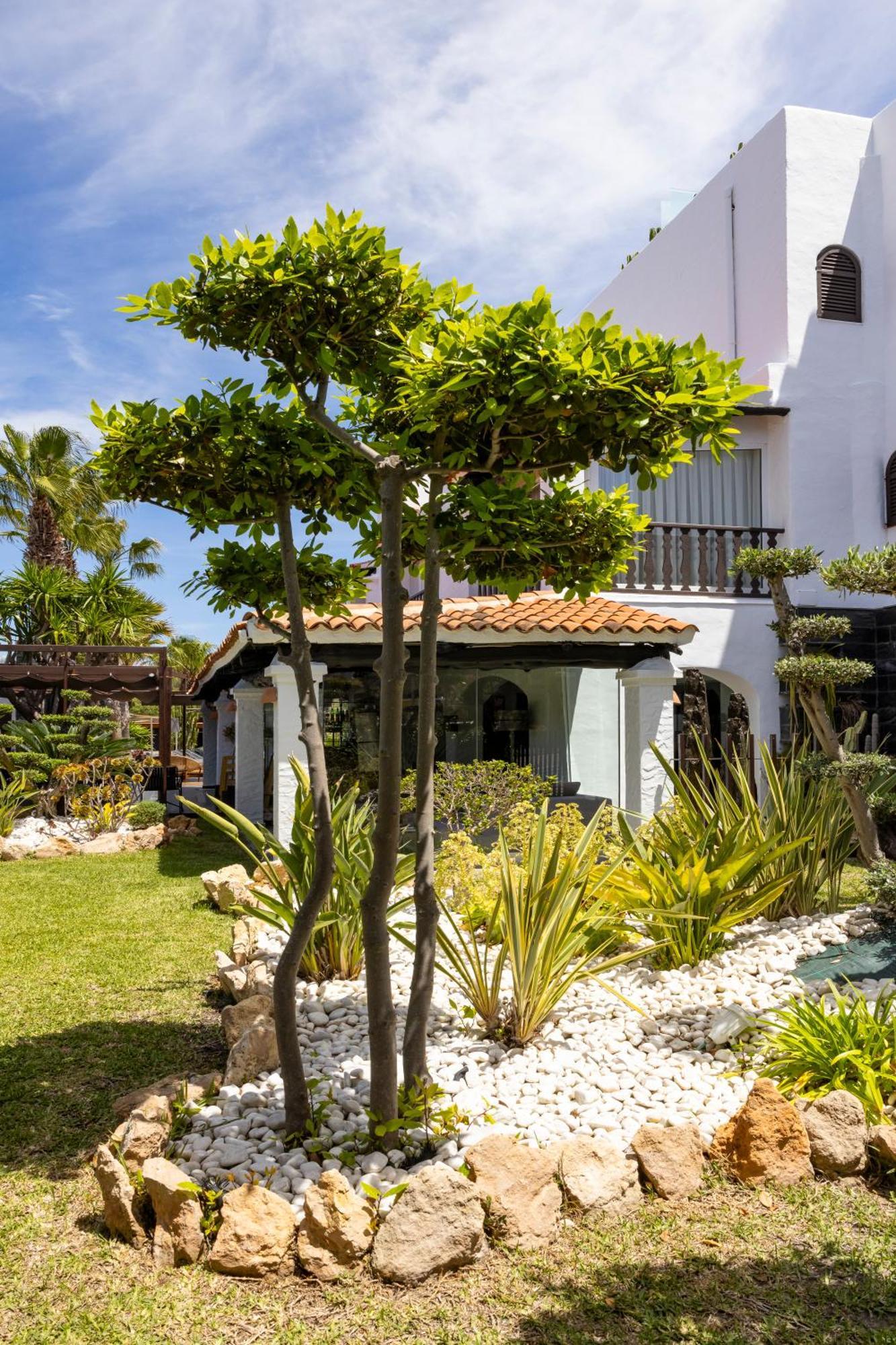 Hotel Boutique Ses Pitreras San Antonio  Buitenkant foto